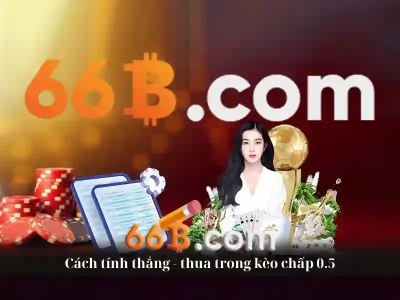 Lịch sử của kích thước 66B